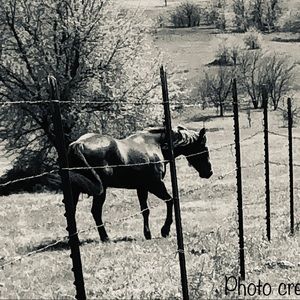 Meet your Posher, Bethany